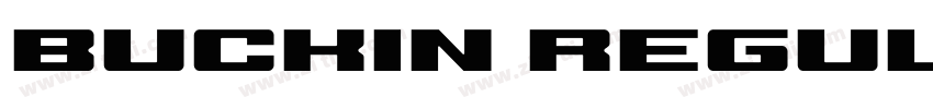 Buckin Regular Demo字体转换